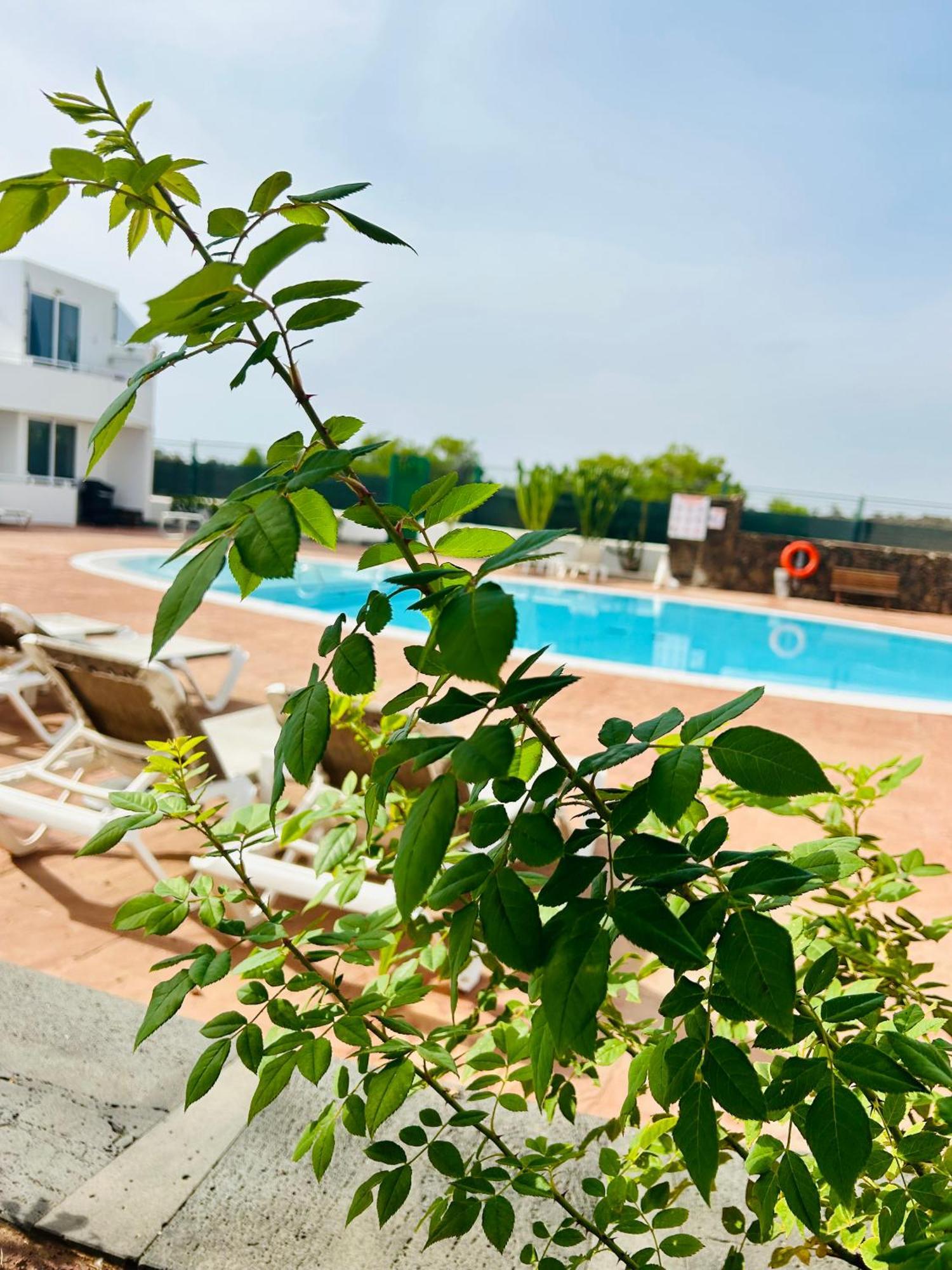 Casa Alexia Διαμέρισμα Teguise  Εξωτερικό φωτογραφία